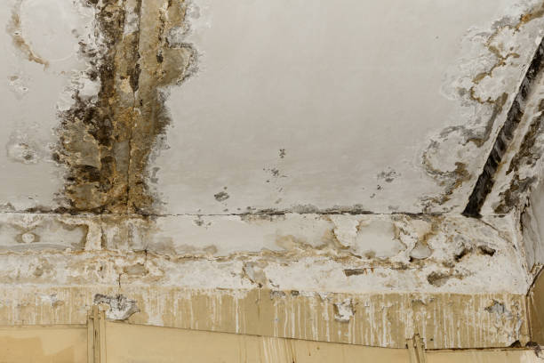 Best 24/7 water damage repair  in New Fairview, TX